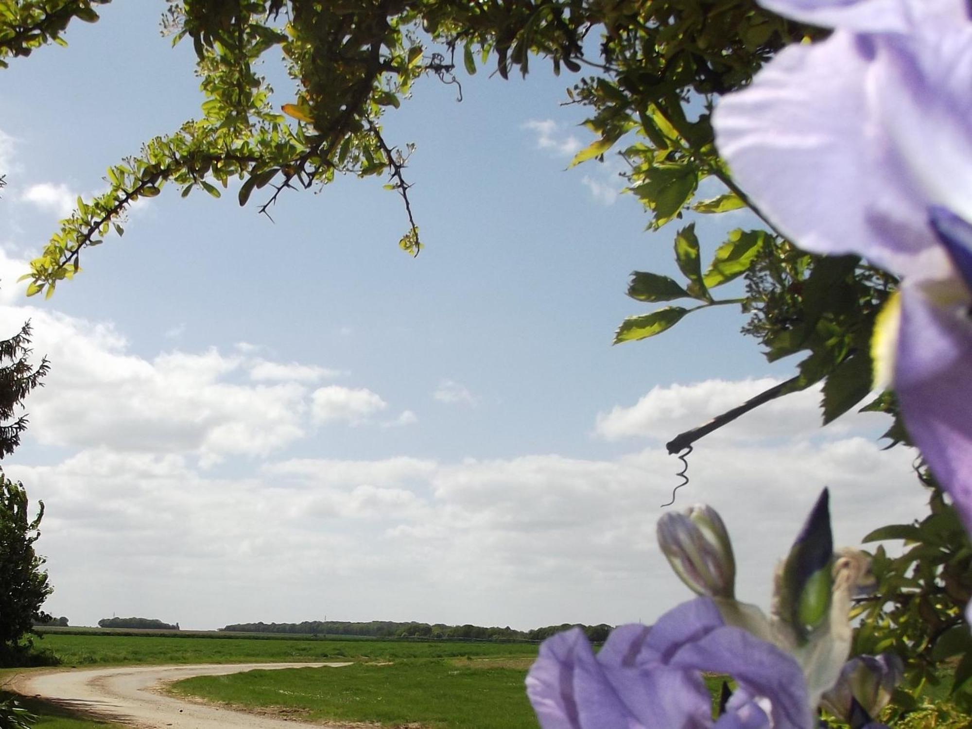 Charmante Maison De Campagne Avec Jardin Prive, Pres De Paris Et Orleans, Ideale Pour Familles - Fr-1-590-136 Audeville Εξωτερικό φωτογραφία