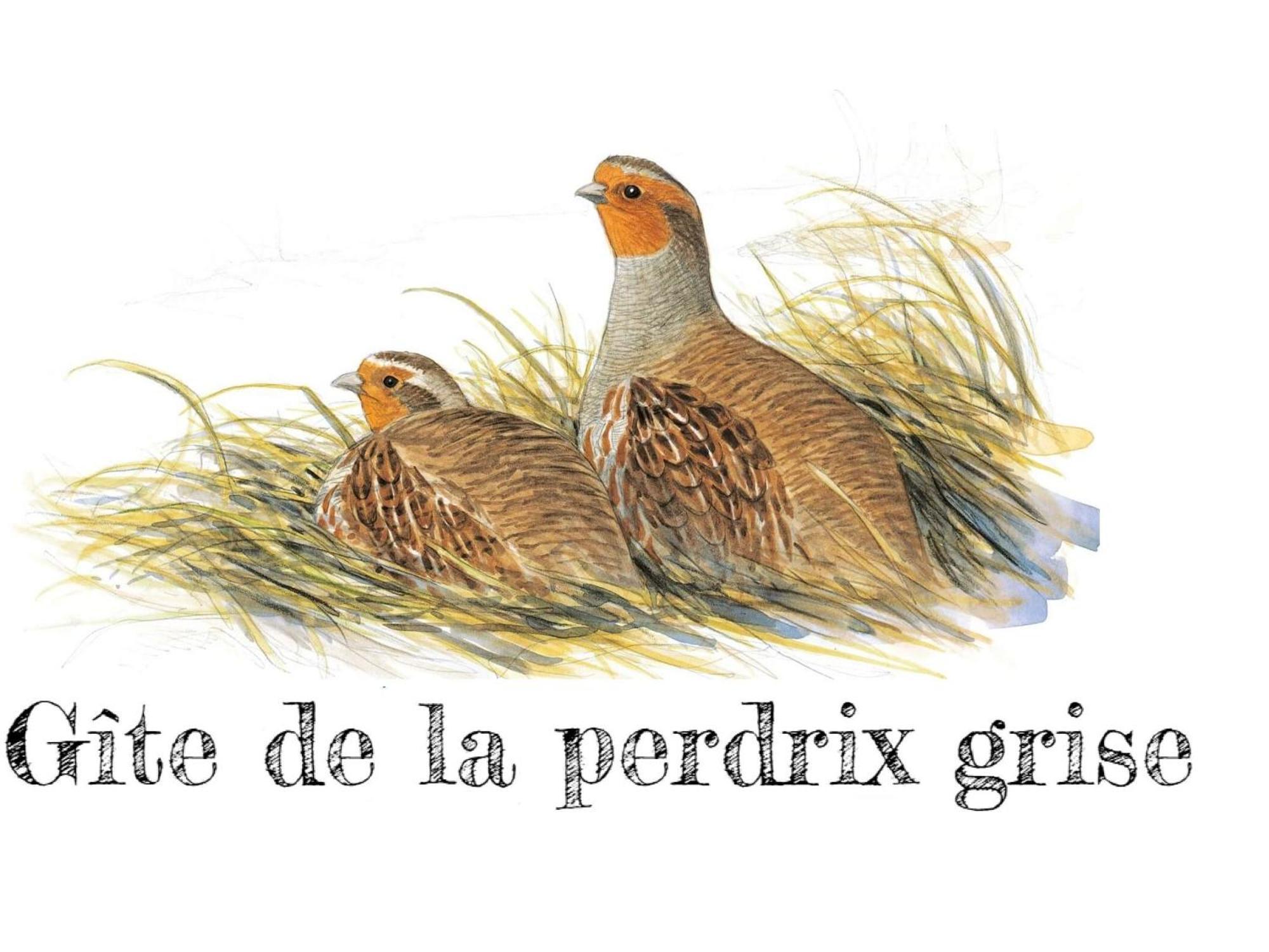 Charmante Maison De Campagne Avec Jardin Prive, Pres De Paris Et Orleans, Ideale Pour Familles - Fr-1-590-136 Audeville Εξωτερικό φωτογραφία